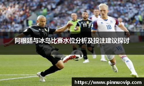 阿根廷与冰岛比赛水位分析及投注建议探讨